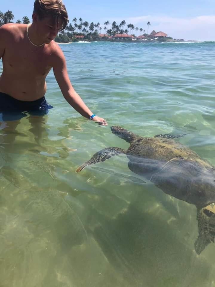 Jk House Turtle Point Hotel Dikwella Eksteriør billede